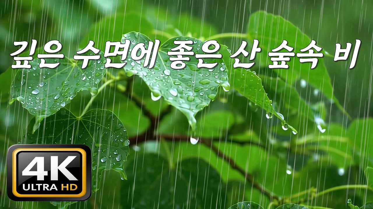 깊은 수면에 좋은 산 숲속 빗소리, [중간광고없음]10분후 검은화면, 마음을 잠재우는 자연 숙면 사운드, ASMR