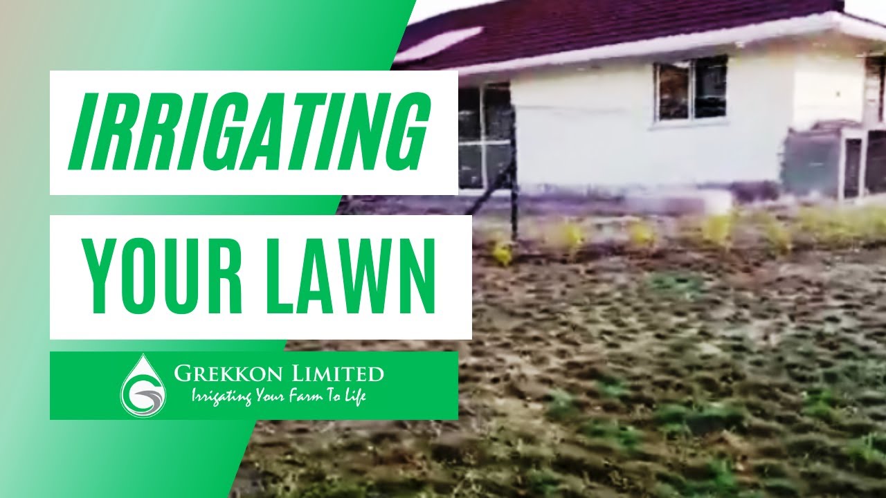 Steps to irrigate your lawn YouTube