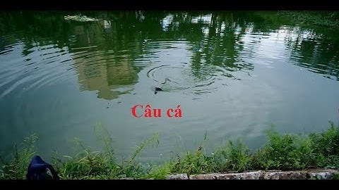 Câu cá  - Fishing - Trẻ em câu cá rô phi