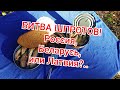 Битва ШПРОТОВ! Россия vs Беларусь vs Латвия и неожиданный финал...