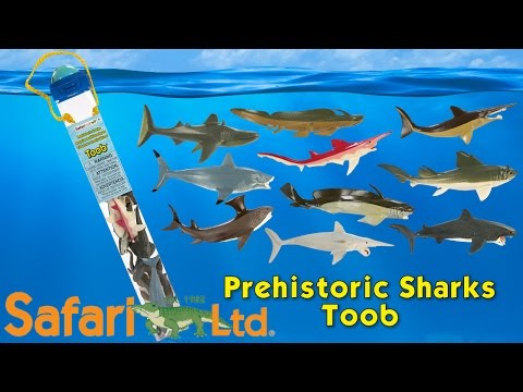 safari ltd sharks toob