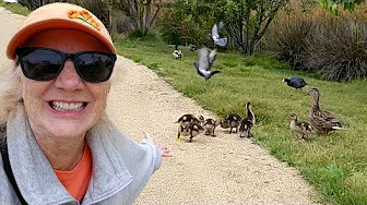 Exploring Malibu’s Hidden Gem: Legacy Park