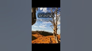 ‏‎#القرآن_الكريم ‎#يوم_الجمعة ‎#ليلة_الجمعة ‎#سورة_الكهف ‎#الصلاة_على_النبي ‎#الدعاء ‎#علي_جابر