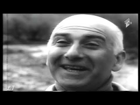 მხ ფ წკიპურტები   Tskipurtebi  #59   YouTube