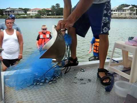 Daytona Beach Aqua Safari The Best Beaches In World Aqua Safari You Daytona Beach