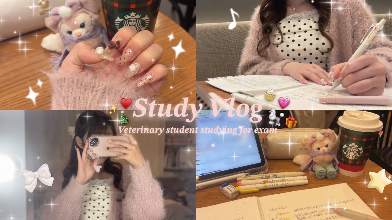 【獣医学生のVlog】テスト勉強する休日🧸🎟🎀まとめノートの勉強方法とノートの使い分け📖🍒🎶