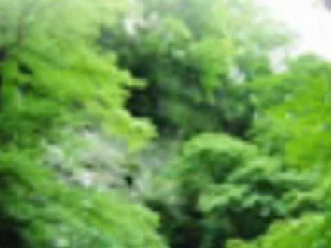 「夜明けのメロディー」