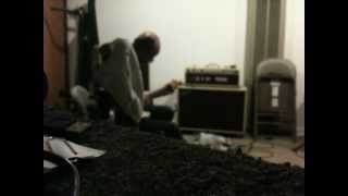Percolator by Sunny Moon and The Common Loons