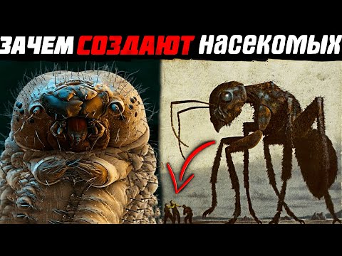 Главная ТАЙНА НАСЕКОМЫХ! О чем НАМ НЕ ДОГОВАРИВАЮТ биоинженеры?