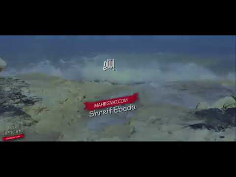 اغنية قالك هتعيش و تشوف روعة