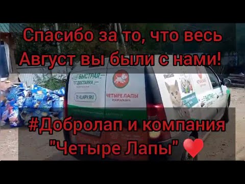 Спасибо за то, что весь август вы с нами! #Добролап и компания «Четыре Лапы»