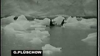 2/3 Proyecto Réplica escala real avión Gunther Plüschow - Video 2/3