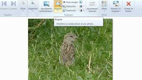 Rogner et recadrer une photo avec Windows Live Photo Gallery