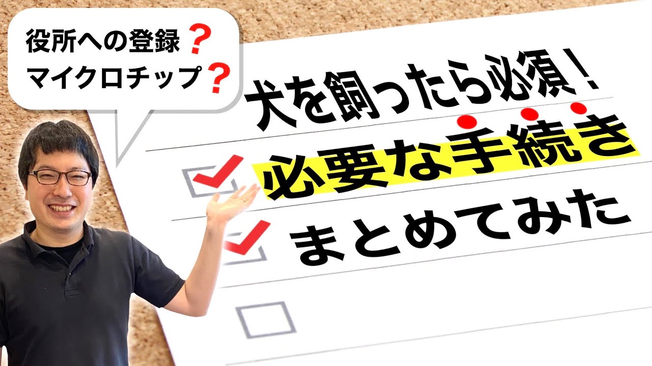 犬を飼ったら必須の手続き関係って?飼う前に準備しておいた方がいいこととは?【役所への登録、マイクロチ ップ挿入の義務化など】