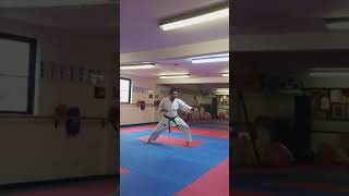 Karate Ash / Shotokan Karate - Heian Shodan Confined