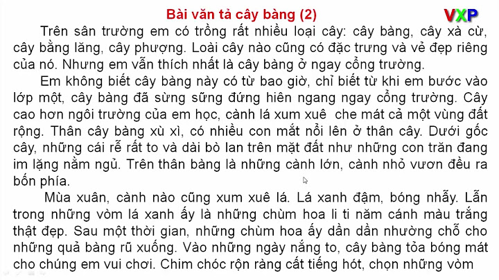 Tập làm văn lớp 4 tả cây bàng năm 2024