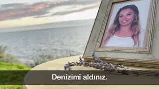 Tamer Acer -  Deniz'e Resimi