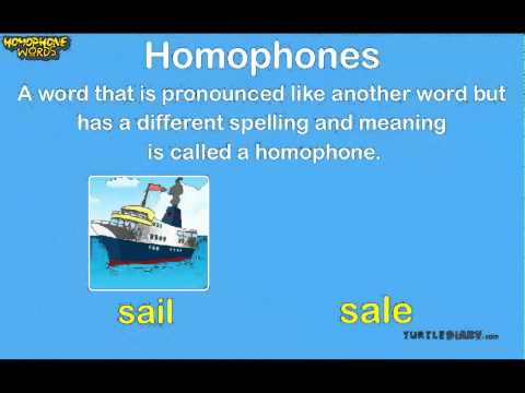 וִידֵאוֹ: באיזה הומופון יש הכי הרבה מילים?