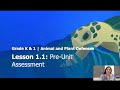 Animal and Plant Defenses with Spruce the Sea Turtle