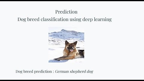 Dog Breed Classification using Deep Learning | Python Final Year Project