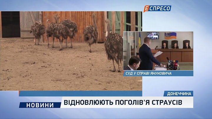 Відновлюють поголів'я страусів