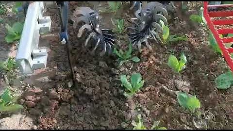 ROTOVERT INTER ROW CROP CULTIVATOR, HACKMASCHINE, WEEDING MACHINE, BINEUSE, SARCLEUSE, salad salade