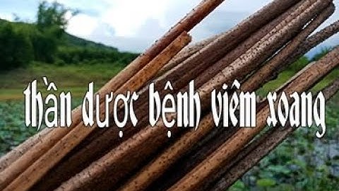 Bài thuốc dân gian trị bệnh viêm xoang mũi, rất hay, 👃