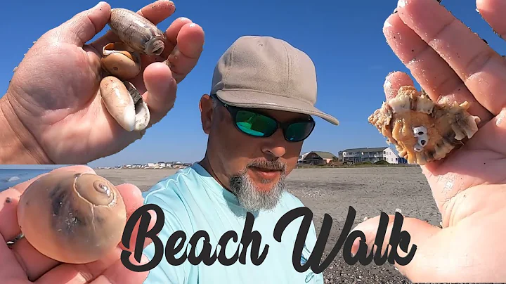 LOOK AT ALL THESE SEASHELLS ON HOLDEN BEACH NC!  E...