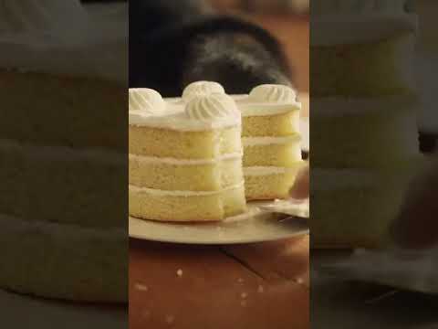 Gorilla vs Granny: The Cake Stealing Moment You Didn’t Expect #fyp #funny #fypシ゚viral