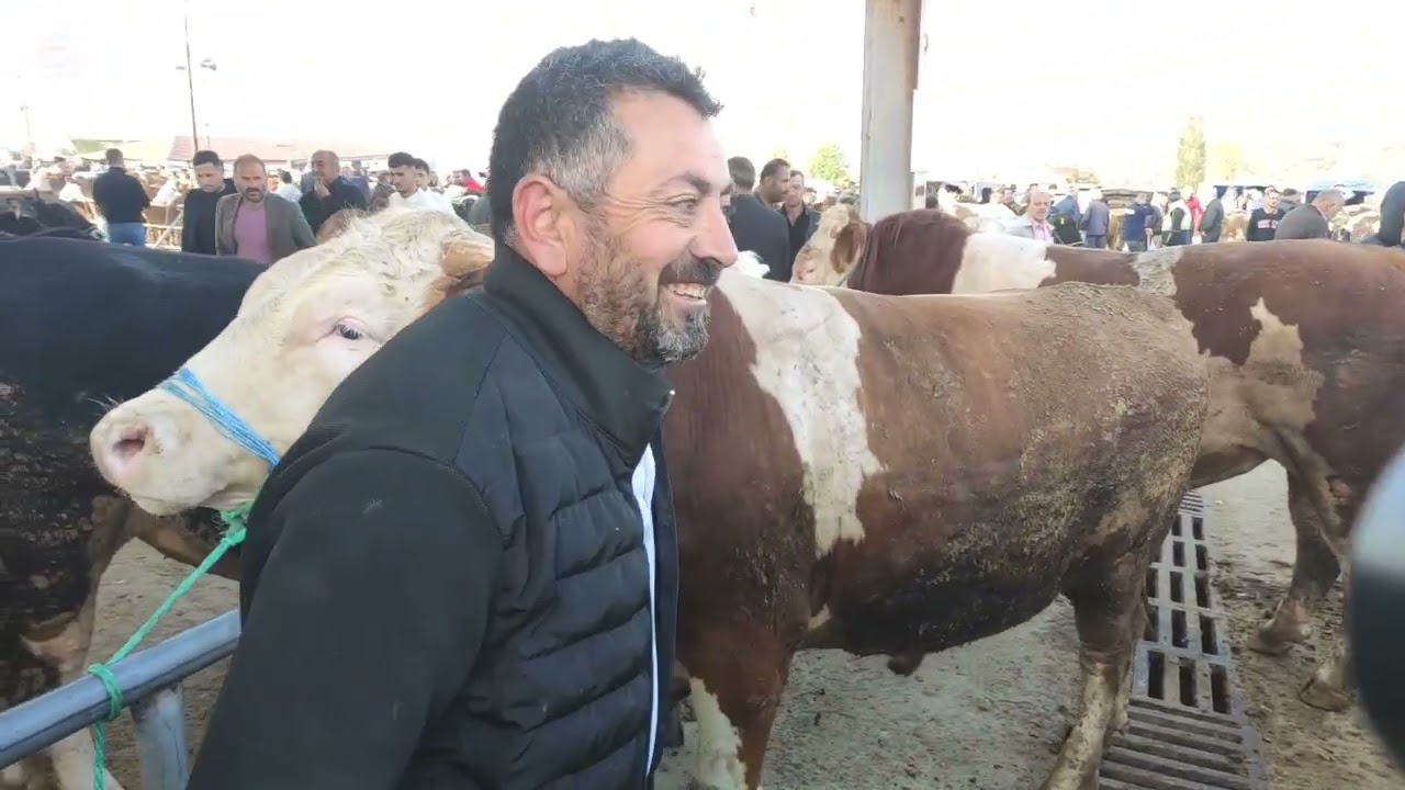 Yozgat Sorgun canlı hayvan pazarı 5 Haziran Perşembe kurban arifesi.1.bölüm