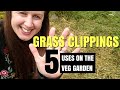 How To Use Grass Clippings In The Vegetable Garden | Build Soil For A Sustainable Organic Garden