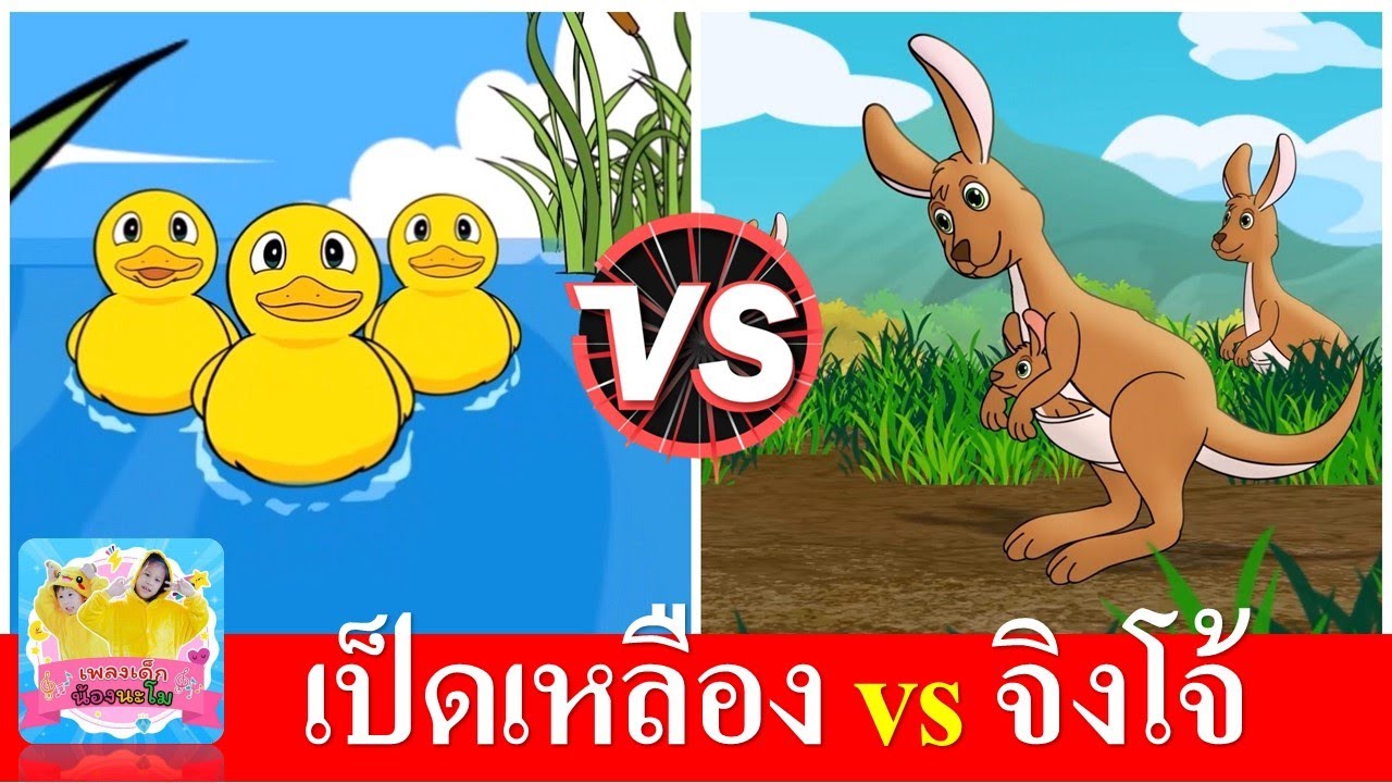 เป็ดอาบน้ำในคลอง vs จิงโจ้กระโดดดึ๋งดึ๋ง