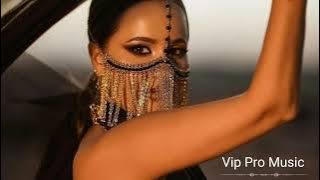 Vip Pro Music & Arabic Remix - Delam Tange ( Remix 2025 )