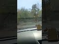 🚗 Car Driving in Beautiful Mountains 🌿 Nature Vibes #shorts #trending