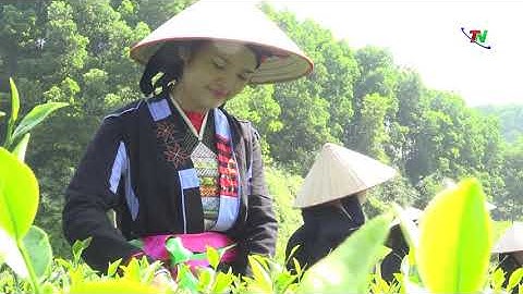 Nông nghiệp Thái Nguyên   Cơ hội, bứt phá