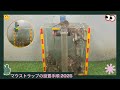 マウストラップの設置手順 2025 / 安全で効果的なマウストラップ / マウスが小麦を盗む