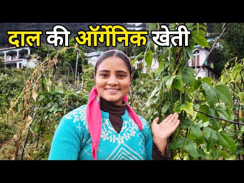 दीदी को ससुराल की याद आ रही है,😅 | Pahadi Lifestyle Vlog Kedarghati | Kareenavlogs11 |