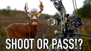 QUARTERING TO SHOTS!!!  Should YOU Take Them or Not?? | Bowhunting Deer