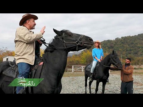 #ფერმა 4 დეკემბერი, 2022