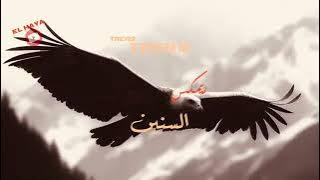 New Turkish Music Remix Song 2025 - Haide Haide - TikTok Music - Turkish Remix Song #remix #song #dj