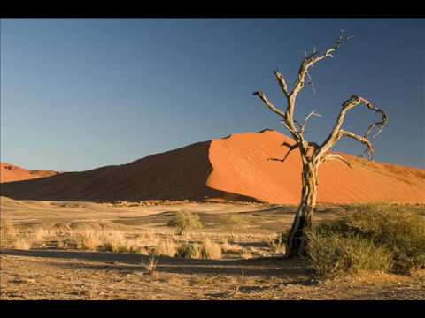 Видео: Една вечер в пустинята Калахари - Матадор