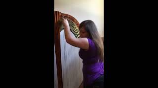How to change a wire string on a harp - Houston Harp Music