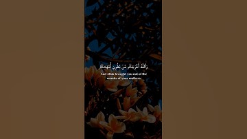 #سورة_النحل #ياسر_الدوسري #quran #راحة_نفسية