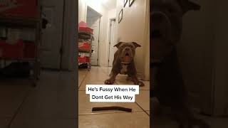 Nova Fussy When He Dont Get His Way