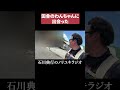 田舎のわんちゃん #八女市 #祭り
