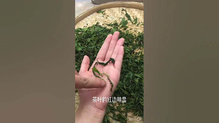 【懶人廚房】「武夷岩茶」你知道多少？至今還在沿承的「焙火」工藝，13道工序，這樣的製茶方法你見過嗎？ - 天天要聞