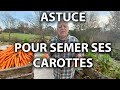 Astuce pour semer ses carottes 