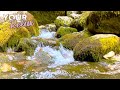 Beautiful Mountain Stream. 1 Minute of Water Sound in 4K Video.