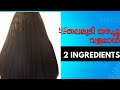         home made hair mask only 2 ingredients