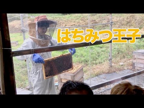 【千葉県君津市】はちみつ工房（大竹養蜂場）　　[Kimitsu City, Chiba Prefecture] Honey studio (Otake apiary)